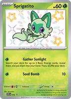 Sprigatito - 076 - 076