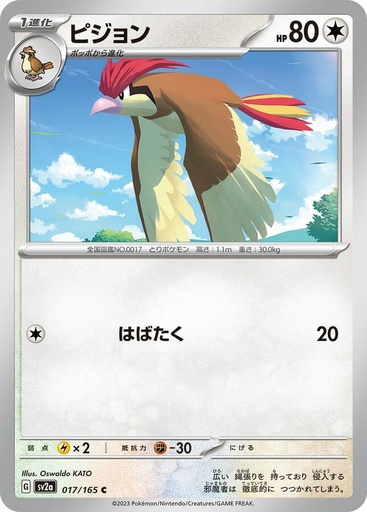 Pidgeotto (151) - Normal